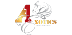 A1 Exotic Car Rental